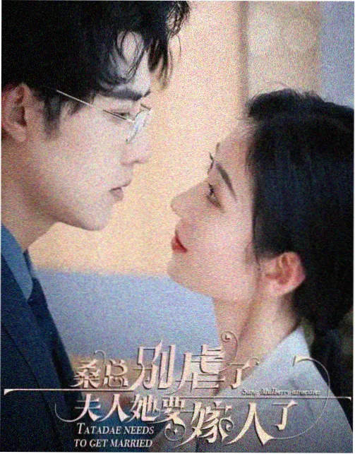 熊猫视频冷门佳作《雪落无声》海报